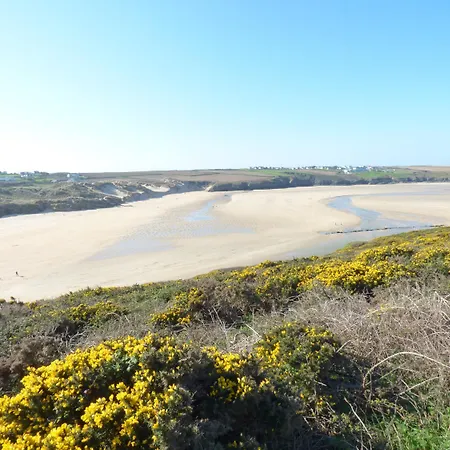 Fistral Breeze